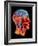 Coloured MRI Scan of the Human Head (side View)-PASIEKA-Framed Photographic Print