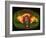 Coloured MRI Scan Showing Prostate Cancer-Science Photo Library-Framed Photographic Print