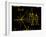 Coloured Pictorial Plaque on Pioneer 10 And 11-null-Framed Photographic Print