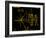 Coloured Pictorial Plaque on Pioneer 10 And 11-null-Framed Photographic Print