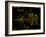 Coloured Pictorial Plaque on Pioneer 10 And 11-null-Framed Photographic Print