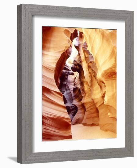 Coloured Rock in Waves Formation in Upper Antelope Canyon, Slot Canyon, Page, Arizona, USA-Roy Rainford-Framed Photographic Print