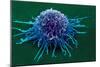 Coloured SEM of a Cancer Cell-Steve Gschmeissner-Mounted Photographic Print