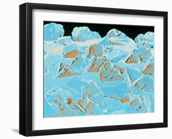 Coloured SEM of a Diamond-coated Dental Grinder-Volker Steger-Framed Photographic Print