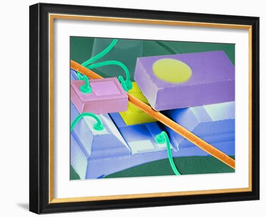 Coloured SEM of a Laser Unit for Fibre Optics-Volker Steger-Framed Photographic Print