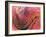 Coloured SEM of Collagen Connective Tissue Fibres-Steve Gschmeissner-Framed Photographic Print