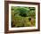 Coloured SEM of Podocytes In the Human Kidney-Steve Gschmeissner-Framed Photographic Print