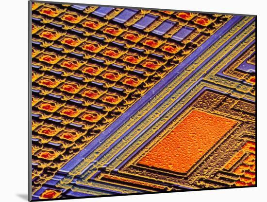 Coloured SEM of Surface of An EPROM Silicon Chip-Dr. Jeremy Burgess-Mounted Photographic Print