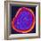 Coloured TEM of a Rubella (German Measles) Virus-PASIEKA-Framed Premium Photographic Print