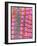 Coloured TEM of Healthy Heart (cardiac) Muscle-Steve Gschmeissner-Framed Photographic Print