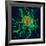 Coloured TEM of Salmonella Bacteria-Dr. Linda Stannard-Framed Photographic Print