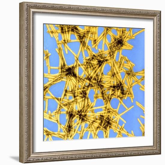 Coloured TEM of Tobacco Mosaic Virus-Dr. Jeremy Burgess-Framed Premium Photographic Print