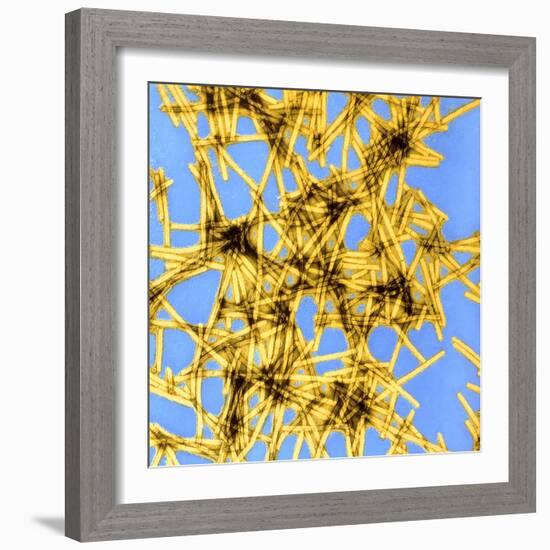 Coloured TEM of Tobacco Mosaic Virus-Dr. Jeremy Burgess-Framed Premium Photographic Print