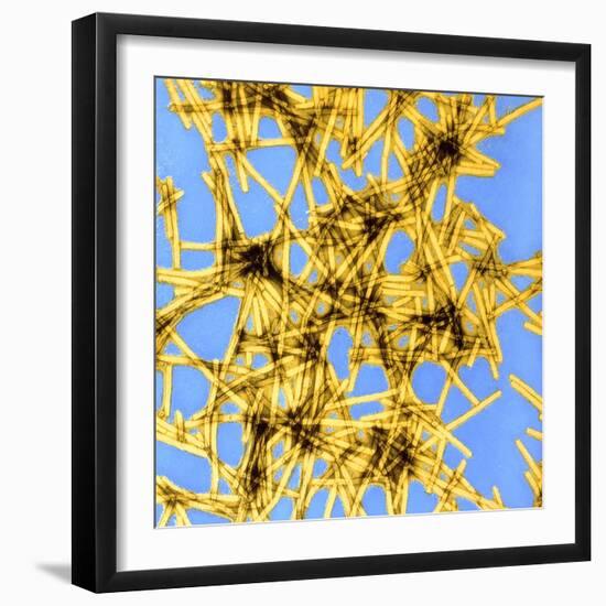 Coloured TEM of Tobacco Mosaic Virus-Dr. Jeremy Burgess-Framed Premium Photographic Print