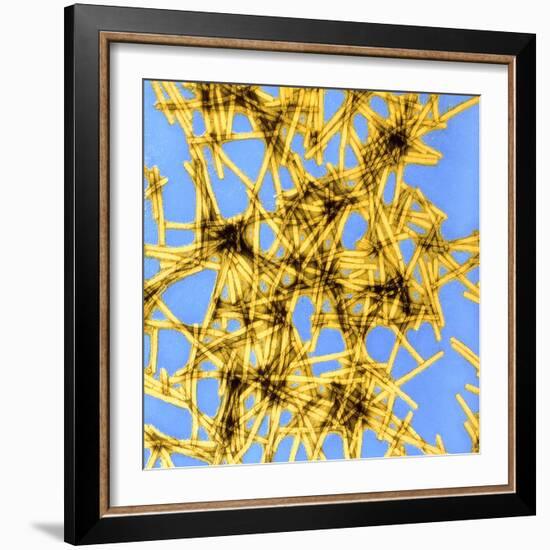 Coloured TEM of Tobacco Mosaic Virus-Dr. Jeremy Burgess-Framed Premium Photographic Print