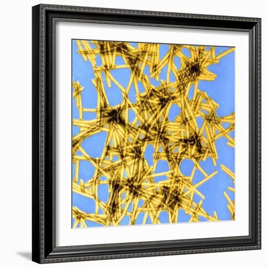 Coloured TEM of Tobacco Mosaic Virus-Dr. Jeremy Burgess-Framed Premium Photographic Print