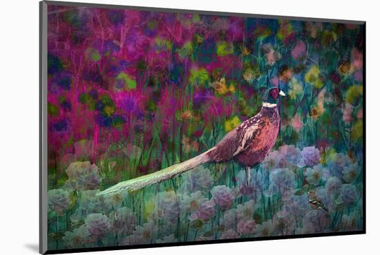 Coloured walk with Pheasant-Claire Westwood-Mounted Art Print