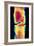 Coloured X-ray Image of a Normal Knee-joint-PASIEKA-Framed Photographic Print