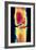 Coloured X-ray Image of a Normal Knee-joint-PASIEKA-Framed Photographic Print