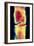 Coloured X-ray Image of a Normal Knee-joint-PASIEKA-Framed Photographic Print
