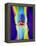 Coloured X-ray of a Human Knee Joint-Mehau Kulyk-Framed Premier Image Canvas