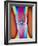 Coloured X-ray of a Human Knee Joint-Mehau Kulyk-Framed Photographic Print