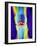 Coloured X-ray of a Human Knee Joint-Mehau Kulyk-Framed Photographic Print