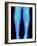 Coloured X-ray of Fractured Shin Bone (tibia)-Mehau Kulyk-Framed Photographic Print