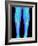 Coloured X-ray of Fractured Shin Bone (tibia)-Mehau Kulyk-Framed Photographic Print