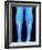 Coloured X-ray of Fractured Shin Bone (tibia)-Mehau Kulyk-Framed Photographic Print