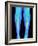 Coloured X-ray of Fractured Shin Bone (tibia)-Mehau Kulyk-Framed Photographic Print