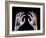 Coloured X-ray of Healthy Human Hands-Science Photo Library-Framed Photographic Print