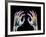 Coloured X-ray of Healthy Human Hands-Science Photo Library-Framed Photographic Print