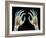 Coloured X-ray of Healthy Human Hands-Science Photo Library-Framed Photographic Print