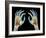 Coloured X-ray of Healthy Human Hands-Science Photo Library-Framed Photographic Print