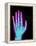 Coloured X-ray of the Healthy Hand of a Man-Mehau Kulyk-Framed Premier Image Canvas