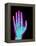 Coloured X-ray of the Healthy Hand of a Man-Mehau Kulyk-Framed Premier Image Canvas