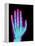 Coloured X-ray of the Healthy Hand of a Man-Mehau Kulyk-Framed Premier Image Canvas