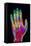 Coloured X-ray of the Healthy Hand of a Man-Mehau Kulyk-Framed Premier Image Canvas