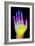 Coloured X-ray of the Healthy Hand of a Man-Mehau Kulyk-Framed Photographic Print