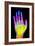 Coloured X-ray of the Healthy Hand of a Man-Mehau Kulyk-Framed Photographic Print