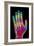 Coloured X-ray of the Healthy Hand of a Man-Mehau Kulyk-Framed Photographic Print