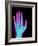 Coloured X-ray of the Healthy Hand of a Man-Mehau Kulyk-Framed Photographic Print