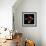 Colourful Balls Of Wool-Magda Indigo-Framed Photographic Print displayed on a wall