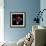 Colourful Balls Of Wool-Magda Indigo-Framed Photographic Print displayed on a wall