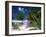 Colourful Beach Hut Beneath Palm Trees, Rum Point, Grand Cayman, Cayman Islands, West Indies-Ruth Tomlinson-Framed Photographic Print