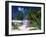 Colourful Beach Hut Beneath Palm Trees, Rum Point, Grand Cayman, Cayman Islands, West Indies-Ruth Tomlinson-Framed Photographic Print