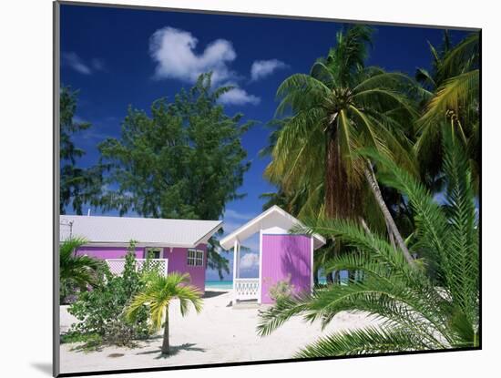 Colourful Beach Hut Beneath Palm Trees, Rum Point, Grand Cayman, Cayman Islands, West Indies-Ruth Tomlinson-Mounted Photographic Print