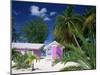 Colourful Beach Hut Beneath Palm Trees, Rum Point, Grand Cayman, Cayman Islands, West Indies-Ruth Tomlinson-Mounted Photographic Print