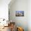 Colourful Buildings in the San Juan District, Las Palmas de Canary Islands, Spain-Neil Farrin-Photographic Print displayed on a wall